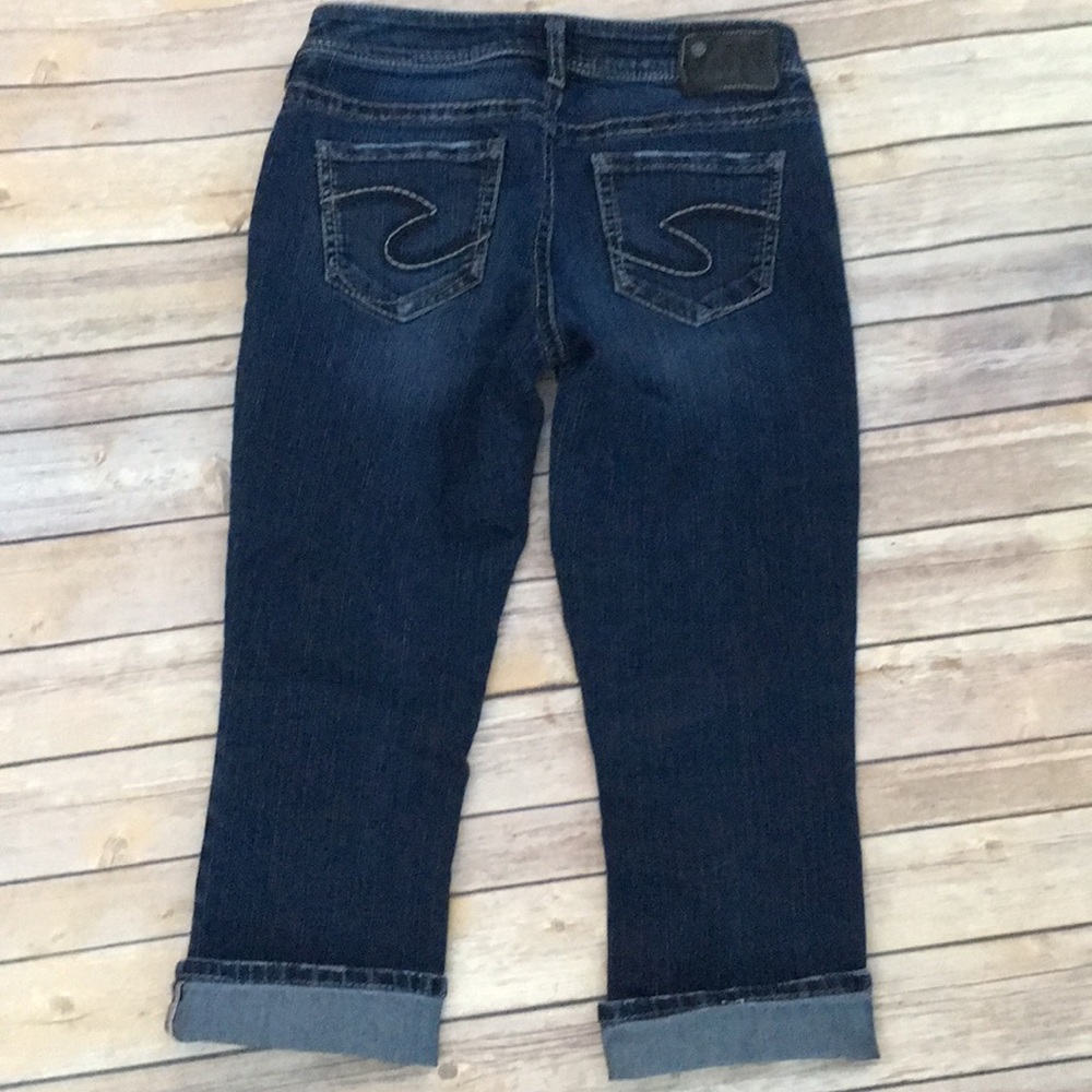 Silver Capri - image 2